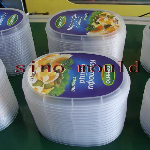 iml mould_528